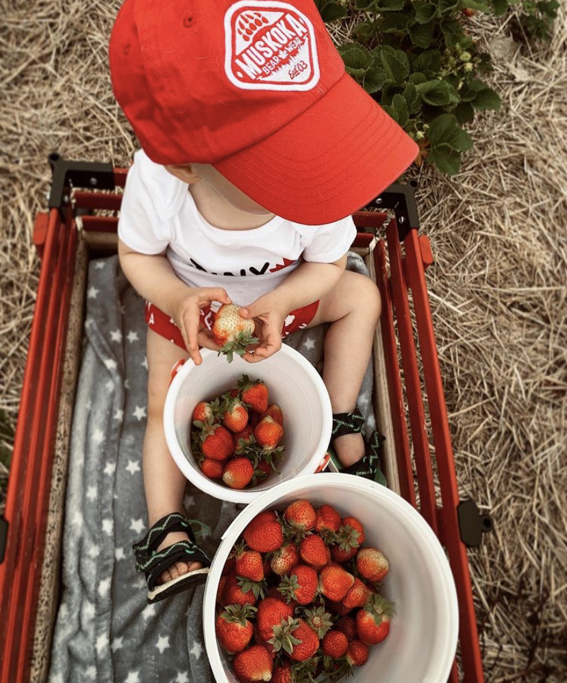 Toddler sitting in a wagon with two bowls of strawberries wearing a red Muskoka Bear Wear cap